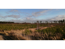 IMG 20201029 140208.jpg