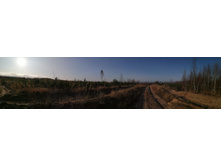 IMG 20201029 133704.jpg