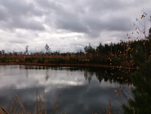 IMG 20201024 132535.jpg