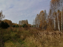 IMG 20201010 122337.jpg