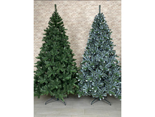 ANNA � ANNA WHITE 3 �����