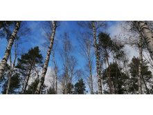 IMG 20201024 114113.jpg