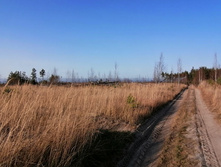 IMG 20201029 134809.jpg