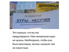 Screenshot 20201009 093155.jpg