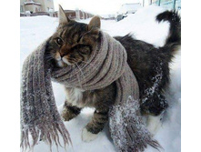 ��������� � ������� ...