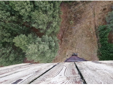 IMG 20201031 105017.jpg