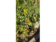 �������������