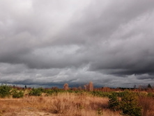 IMG 20201024 124315.jpg