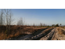 IMG 20201029 134249.jpg