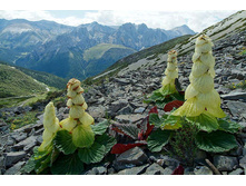 ������ ����������.jpg