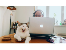 ������� �������� ...