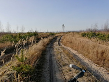 IMG 20201029 133439.jpg