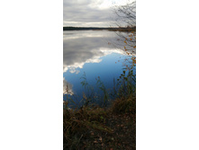 IMG 20201025 134717.jpg