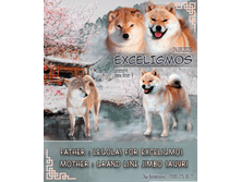 ���� ����.png