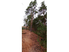 IMG 20201025 113520.jpg