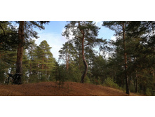 IMG 20201025 105115.jpg