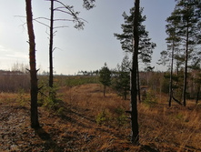 IMG 20201029 140918.jpg