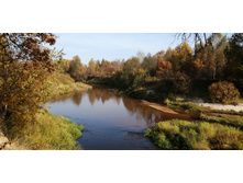 IMG 20201003 115234.jpg