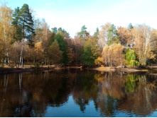 20201011 � ��̣��� ����� 11.jpg