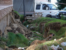 5217c03365206a20597351909a5a1cd66fa9fb2f 727.jpg