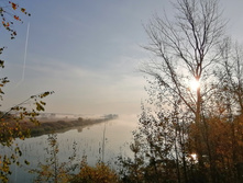 IMG 20201003 072745.jpg