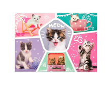 21850-13247 ���� Trefl, 200 ��������� - ������� �������.jpg 273�