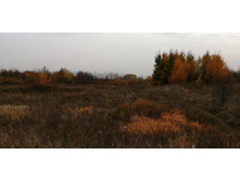 IMG 20201010 144812.jpg