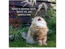 Screenshot 20201031 160934.jpg