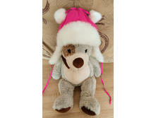 ����� ������ �������