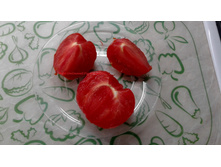 �������� ������2.jpg