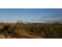 IMG 20201029 135839.jpg