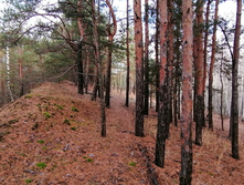 IMG 20201024 115619.jpg