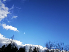 IMG 20201025 131904.jpg