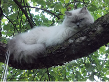 �� �������� �� �����?