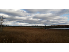 IMG 20201017 134814.jpg