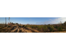 IMG 20201029 135903.jpg