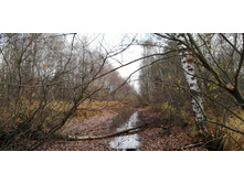 IMG 20201024 102743.jpg