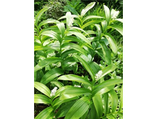 ���������� ���������.jpg