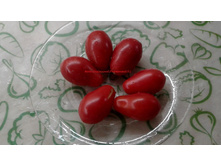 ������� ����