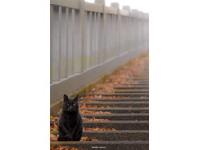 �� ��� �� ���? ....