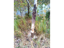 20201004 5 ������� ���� 1540.jpg