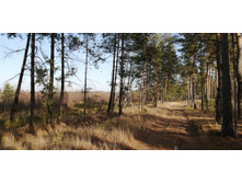 IMG 20201029 131540.jpg