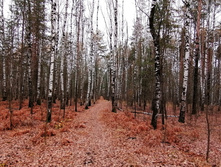 IMG 20201024 112715.jpg