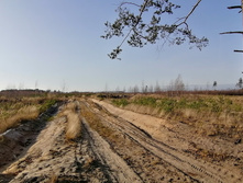 IMG 20201029 130620.jpg