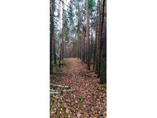 IMG 20201025 125842.jpg