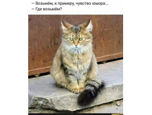 ����ͣ�, � �������, ������� ����� ... ��� ����ͣ�?