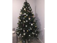 ���� ������ 210