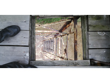 IMG 20201031 105500.jpg