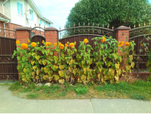 20200913 5 ������� 111136.jpg