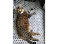 IMG 20200627 144431.jpg